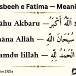What to Read on Tasbeeh