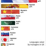Useful Languages to Learn